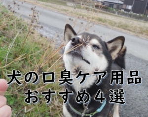 犬の口臭ケア用品おすすめ