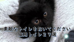 トイレおすすめランキング