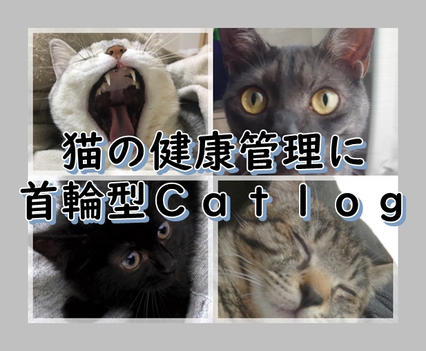 猫の健康管理に首輪型Ｃａｔｌｏｇとアプリをおすすめ