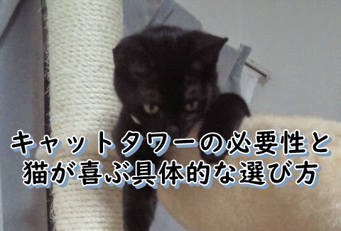 キャットタワーの選び方と猫が喜ぶ具体的な選び方